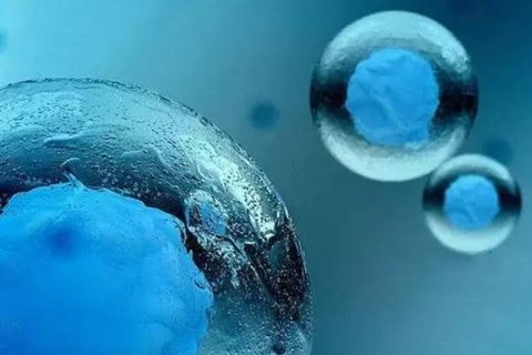 国内代孕宝宝吃什么油比较好